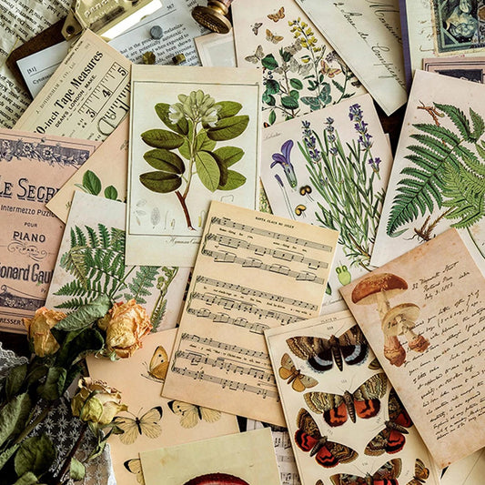 30 pcs Retro Ancient Forest Animals Plants Specimen Postcard Vintage Creative Writing Greeting Postcards Diar Journals DIY