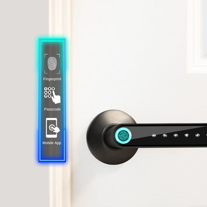 Fingerprint Smart Door Lock