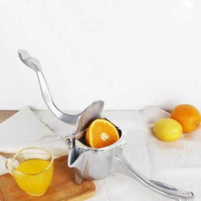 Stainless Steel Juicer